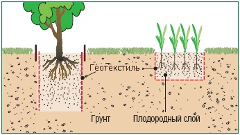 Мульчирование почвы