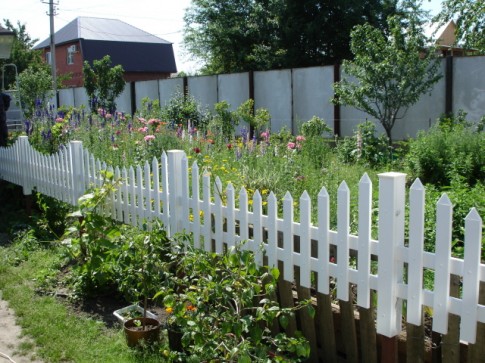 Ограды в саду