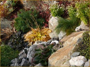 Рокарий – сад из камней