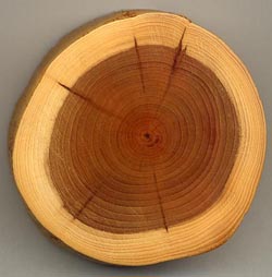 Материал древесина