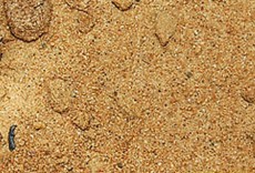 Виды песка